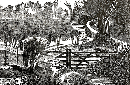 Kentish Morning